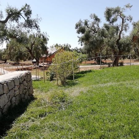 Agriturismo Marconi Porto Cesareo Zewnętrze zdjęcie